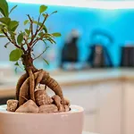 Apartman Inspiration Station - My Joyful, Cosy&inviting - Smart Thermostat - Private Parking - Ior Park - Long Term Price Cuts *