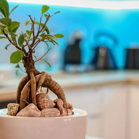 דירה Inspiration Station - My Joyful, Cosy&inviting - Smart Thermostat - Private Parking - Ior Park - Long Term Price Cuts *