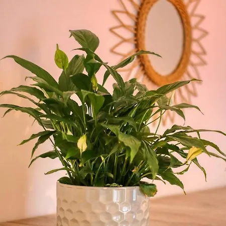 Appartement Inspiration Station - My Joyful, Cosy&inviting - Smart Thermostat - Private Parking - Ior Park - Long Term Price Cuts *