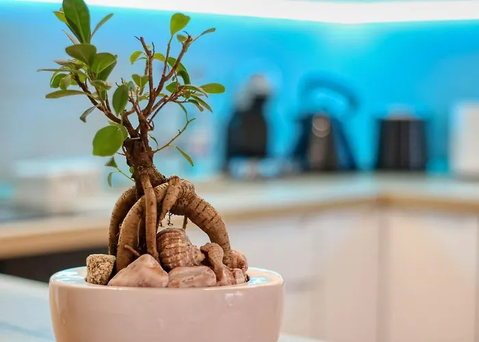 דירה Inspiration Station - My Joyful, Cosy&inviting - Smart Thermostat - Private Parking - Ior Park - Long Term Price Cuts *